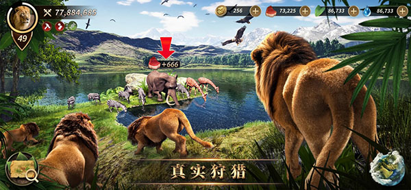 野兽领主新世界国际服