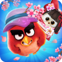 愤怒的小鸟消除赛官方版