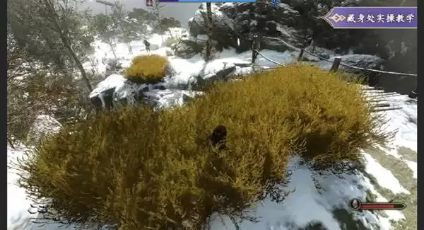 骑马与砍杀2潜行暗杀玩法介绍