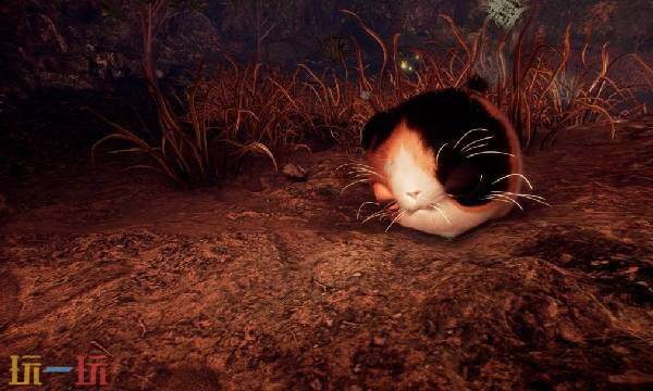 仁王3官职等级一览表 仁王3官职等级图鉴