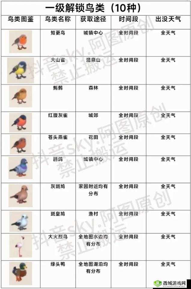 心动小镇鸟类出现位置及条件？