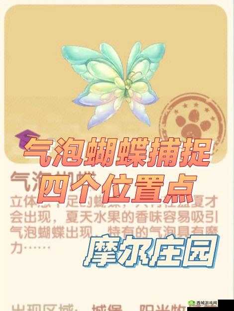 摩尔庄园气泡蝴蝶捕捉地点指南