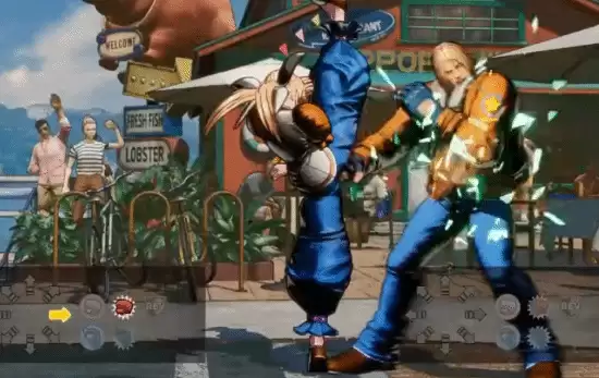 饿狼传说群狼之城双叶萤花式连分享