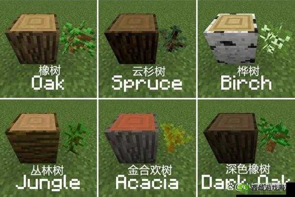 树苗如何在我的世界中成长发育？修改建议：我的世界树苗成长指南