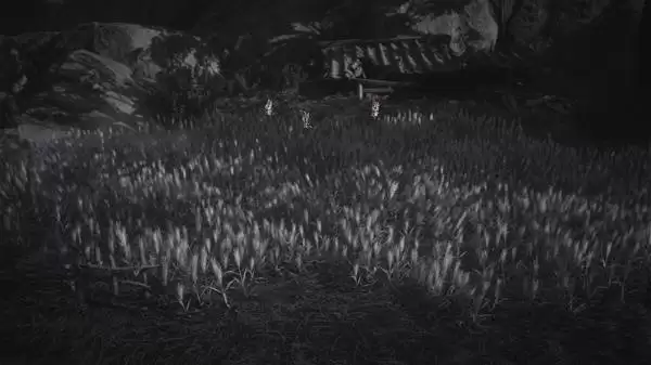 燕云十六声淬火油采集攻略