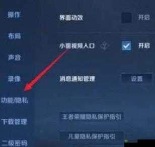 王者荣耀如何设置隐身状态（最新攻略2022）