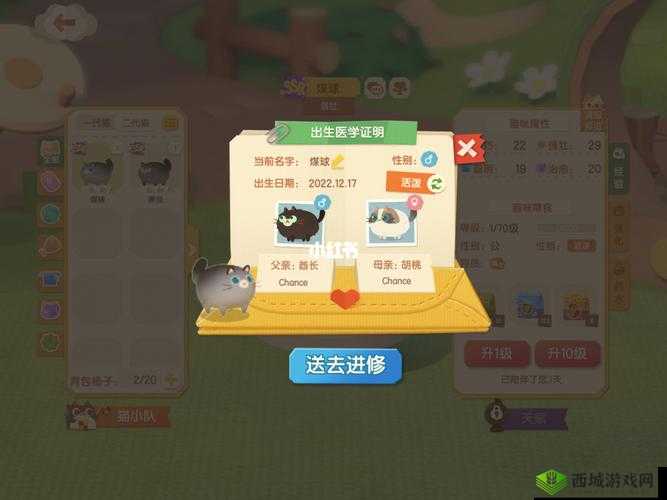 猫咪公寓2：如何获取猫咪？