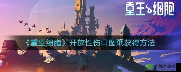 重生细胞：开放性伤口获取指南