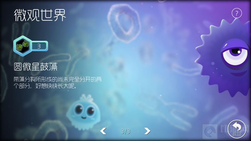 球球大作战进化等级3的圆微星鼓藻介绍