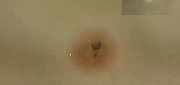 饥荒夏季玩法教学 夏季怎么降温