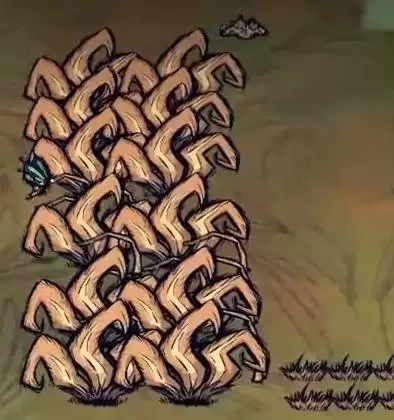 饥荒海难温和季生存教学 海难开局怎么玩 饥荒海难温和季生存教学 海难开局怎么玩