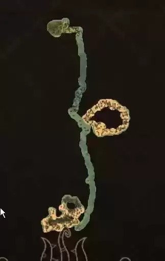 饥荒海难温和季生存教学 海难开局怎么玩 饥荒海难温和季生存教学 海难开局怎么玩