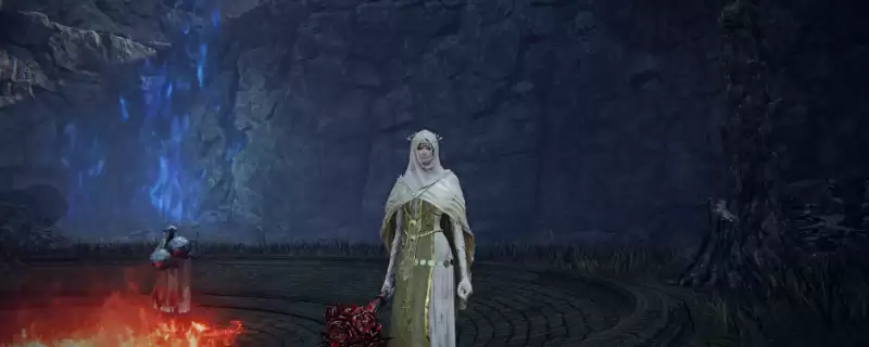 艾尔登法环黑夜君临送葬者玩法是什么