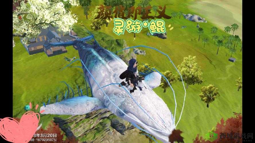 妄想山海中寒冥丹的获取途径及宠物鲲进化方法全解