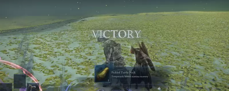 艾尔登法环黑夜君临女爵流派有什么