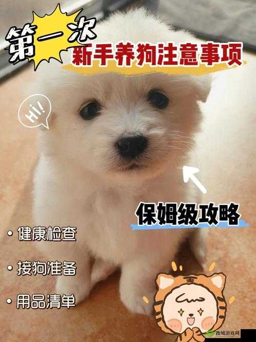 脑洞大开，汉字世界中找寻只狗的通关秘籍攻略